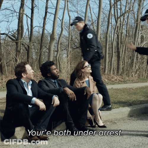 You're Both Arrested GIF