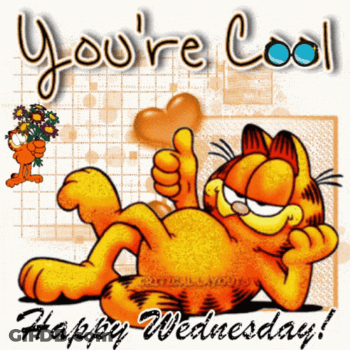 You're Cool Happy Wednesday Garfield GIF
