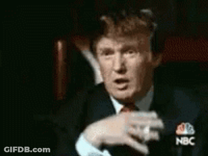 You're Fired Donald Trump GIF