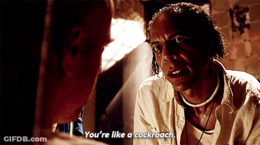 You're Like A Cockroach GIF