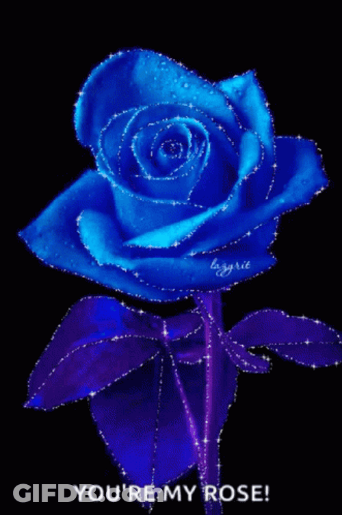 You're My Blue Rose GIF