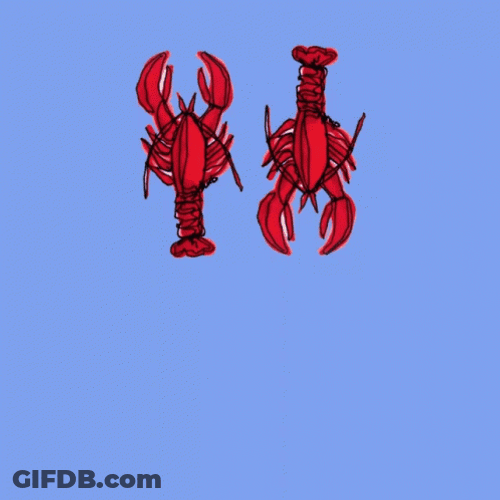 You're My Lobster Animation GIF