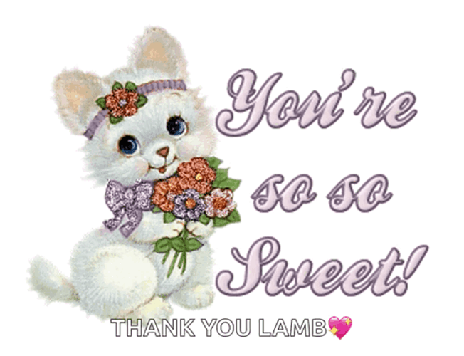 You're So Sweet Thank You Little Kitten GIF
