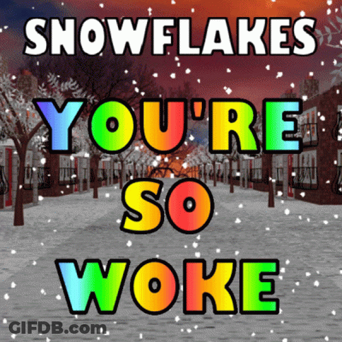 You're So Woke Snowflake Sign GIF