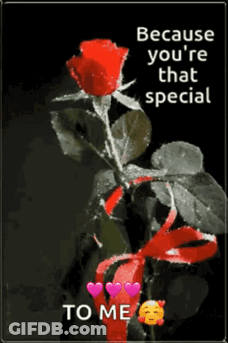 You're That Special To Me With Rose Hearts GIF