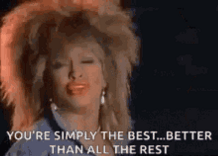 You're The Best Tina Turner GIF