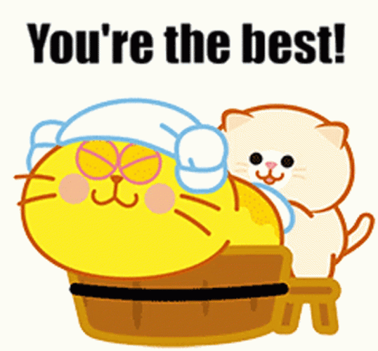 You're The Best Yolk Cat GIF