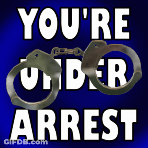 You're Under Arrested Prisoner GIF