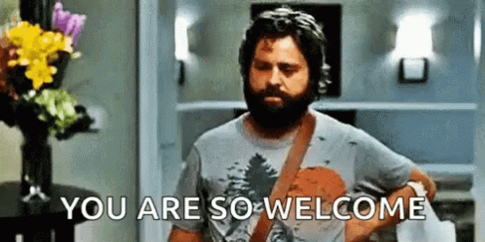 You're Welcome Alan The Hangover GIF