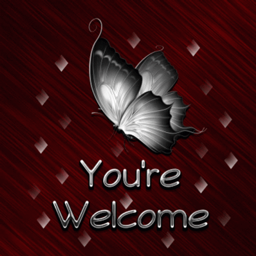 You're Welcome Butterly GIF