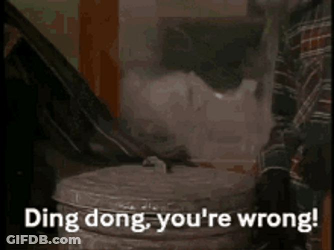 You're Wrong Sesame Street Ding Dong GIF