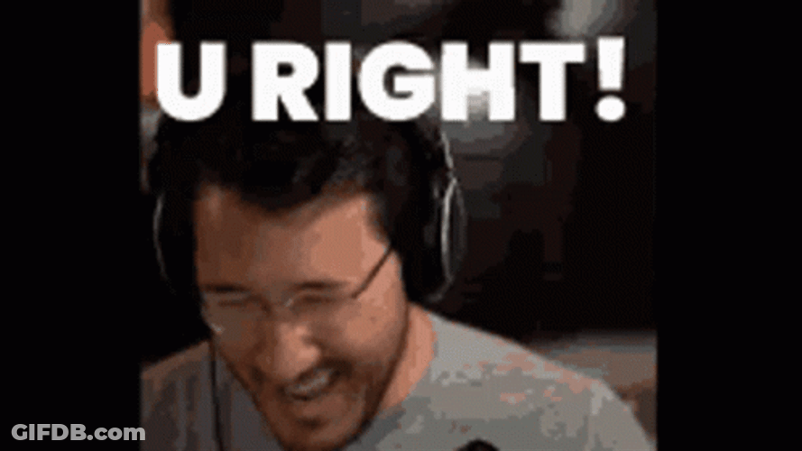You Right Markiplier YouTuber GIF