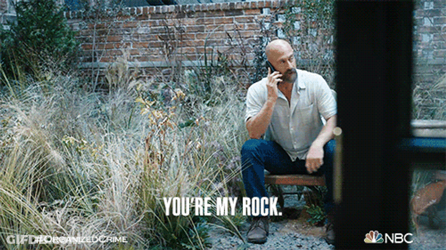 You Rock Meme Christopher Meloni GIF