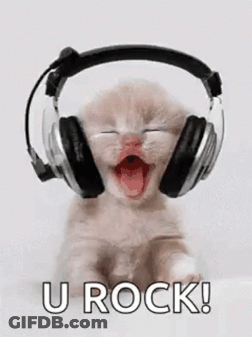 You Rock Meme Cute Cat GIF