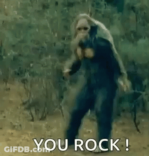 You Rock Meme Monkey Dance GIF