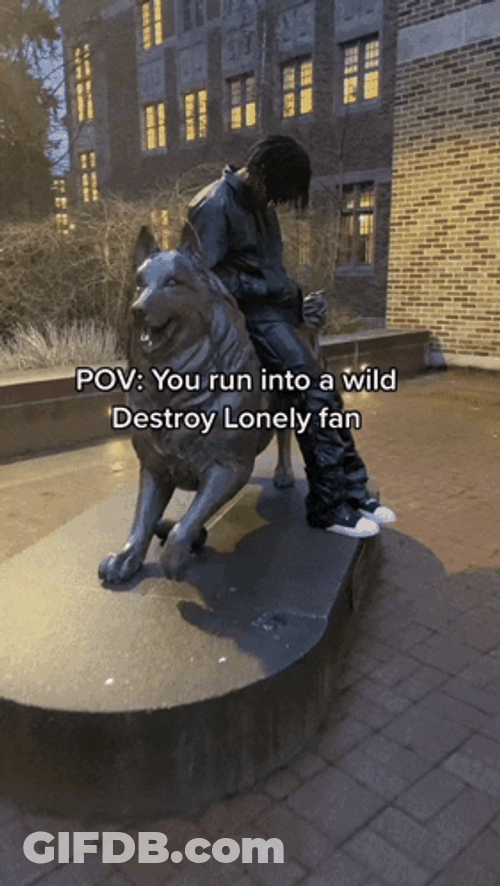You Run Into A Wild Destroy Lonely Fan GIF