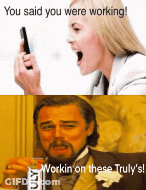 You Said You Were Working Meme Drunk GIF