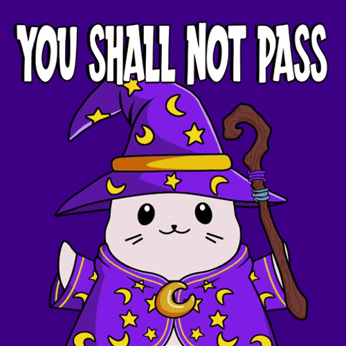 You Shall Not Pass Cartoon Cat Wizard GIF