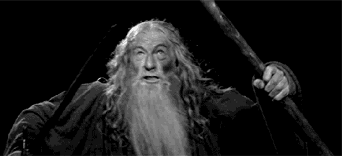 You Shall Not Pass Gandalf Monotone GIF