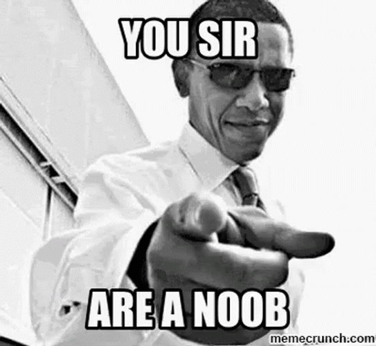 You Sir Are A Noob GIF
