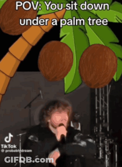 You Sit Down Under A Coconut Tree GIF