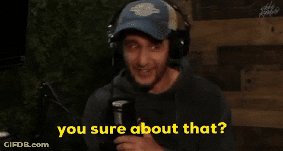 You Sure About That Wesams World GIF
