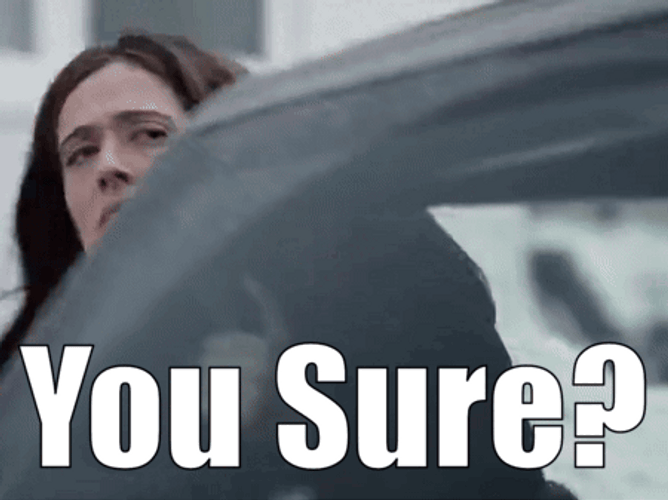 You Sure Lady In Car GIF