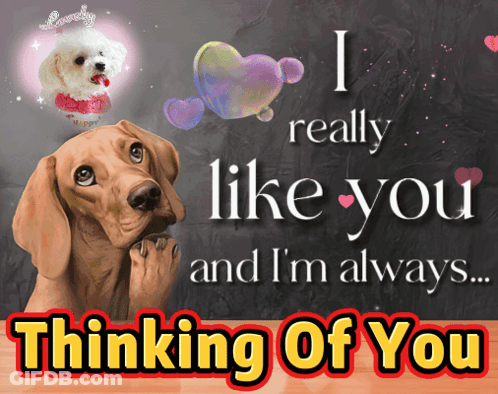 You Think So GIF