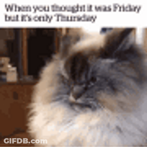 You Thought Its Friday Funny Thursday Meme GIF