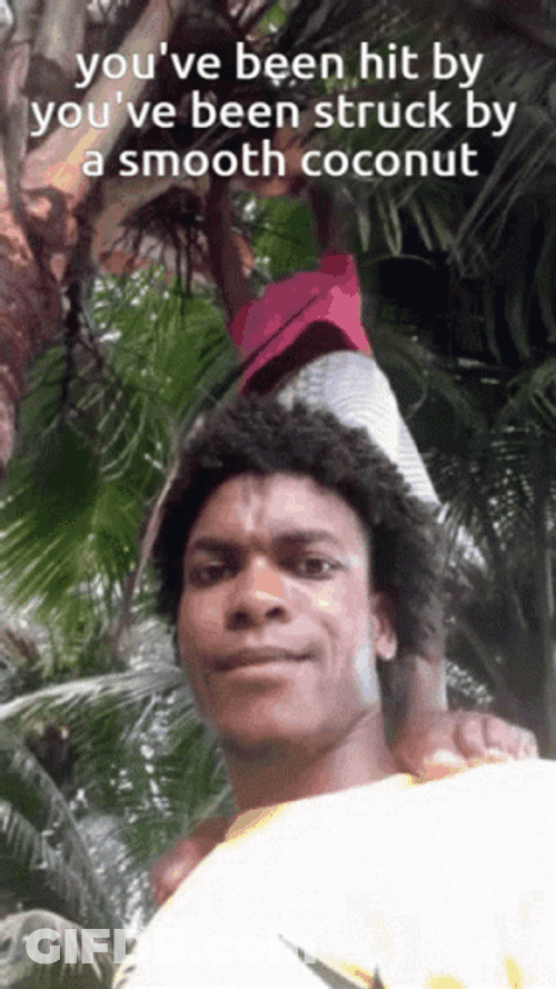 You've Been Hit By Coconut Tree GIF