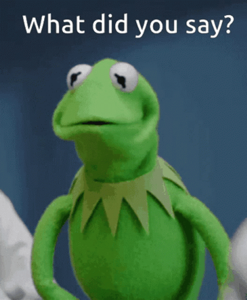 You What Kermit The Frog GIF