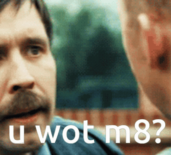 You What Mate GIF
