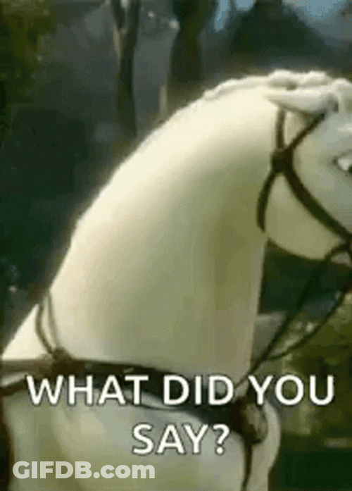 You What Rapunzel Animation Maximus GIF