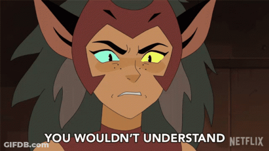 You Wouldn't Get It Catra GIF