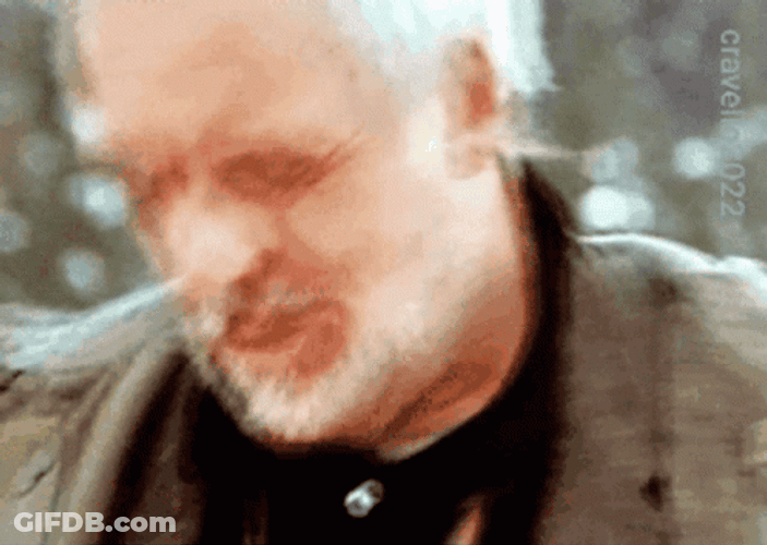 You Wouldn't Get It GIF