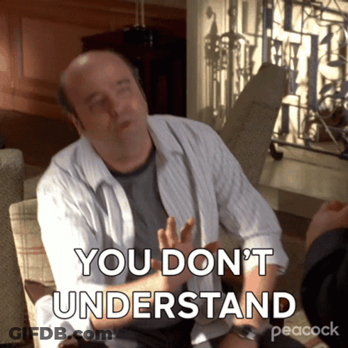 You Wouldn't Get It Understand GIF