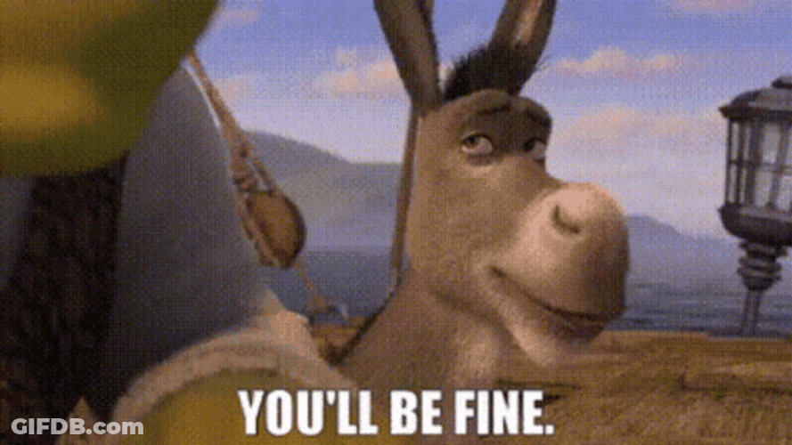 Youll Be Fine Donkey GIF
