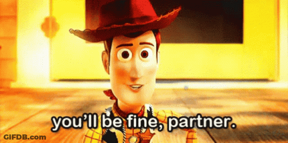 Youll Be Fine Partner Woody GIF