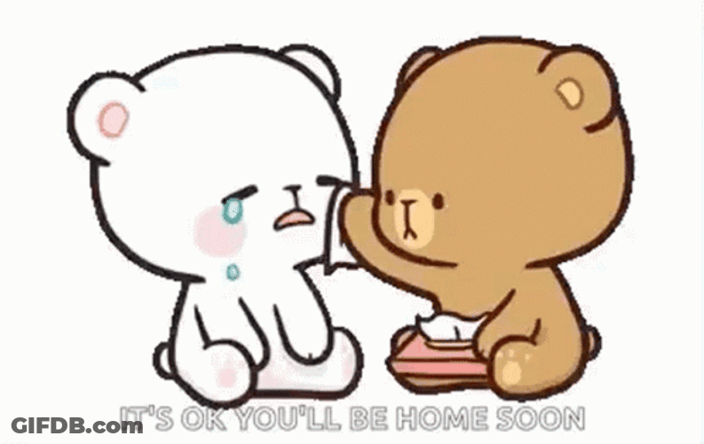 Youll Be Fine Two Bears Crying GIF