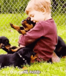 Young Boy Holding Puppy On Grass GIF