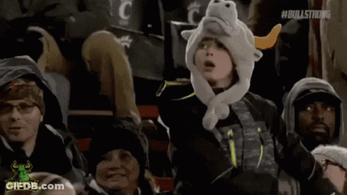 Young Boy In Bull Hat Sitting In Crowd Watching Game GIF