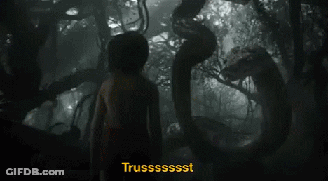 Young Boy In Jungle Surrounded By Snake GIF