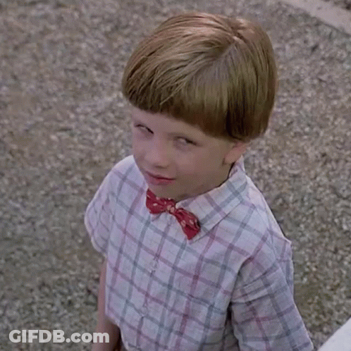 Young Boy In Plaid Shirt And Bow Tie GIF