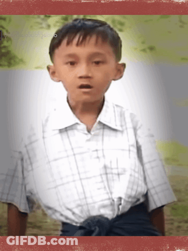 Young Boy In Plaid Shirt GIF