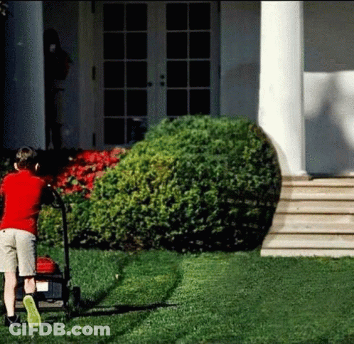 Young Boy Pushing Lawn Mower On Green Lawn GIF