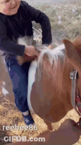 Young Boy Riding Brown And White Horse GIF