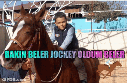 Young Boy Riding Brown Horse GIF