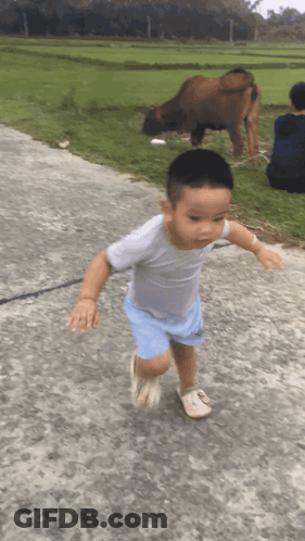 Young Boy Running Past Grazing Cow GIF