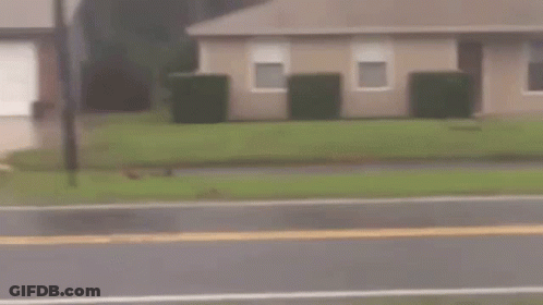 Young Boy Walking With American Flag In Rain GIF