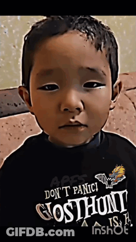 Young Boy Wearing Don't Panic Ghosthunt Shirt GIF